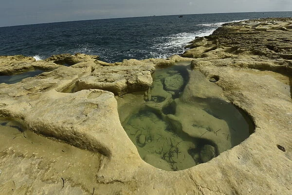 Rocky coast near Peters Pool, Marsaxlokk, Malta, Mediterranean, Europe