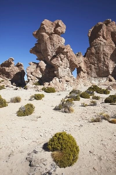 Rocky landscape on the Altiplano, Potosi Department, Bolivia, South America
