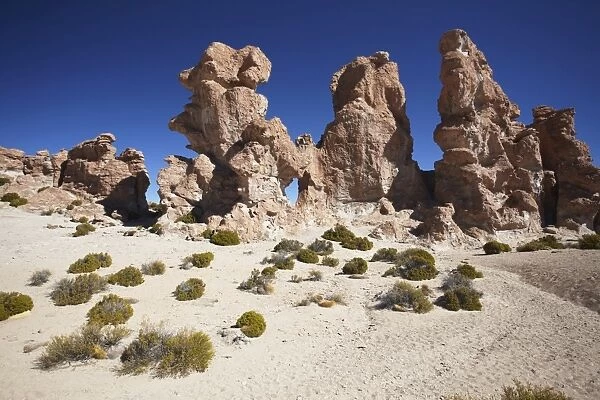 Rocky landscape on the Altiplano, Potosi Department, Bolivia, South America