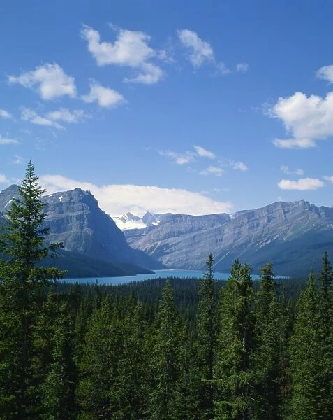 The Rocky Mountains, Alberta, Canada, North America