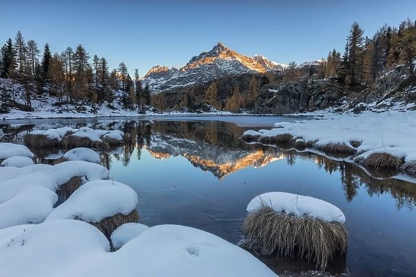 The rocky peak reflected in the frozen Lake Mufule at dawn, Malenco Valley, Province of Sondrio