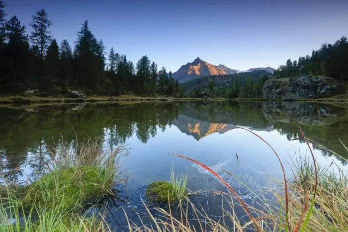 Framed Print : Rocky peak of Sasso Moro reflected in Lake Mufule at dawn, Malenco Valley, Province of Sondrio Framed Print : Rocky peak of Sasso Moro reflected in Lake Mufule at dawn, Malenco Valley, Province of Sondrio