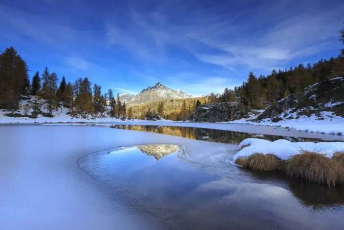 Framed Print : Rocky peaks and larches reflected in the frozen Lake Mufule, Malenco Valley, Province of Sondrio Framed Print : Rocky peaks and larches reflected in the frozen Lake Mufule, Malenco Valley, Province of Sondrio