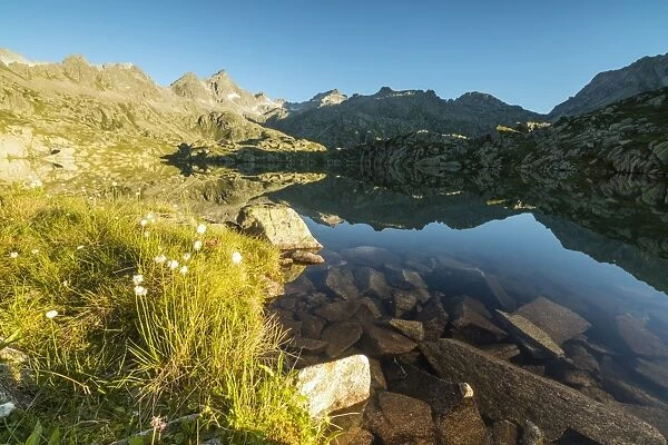 The rocky peaks reflected in Lago Nero at dawn, Cornisello, Pinzolo, Brenta Dolomites