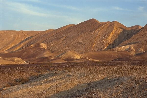 Rocky plain and hills in the background in the Negev Desert, Israel, Middle East