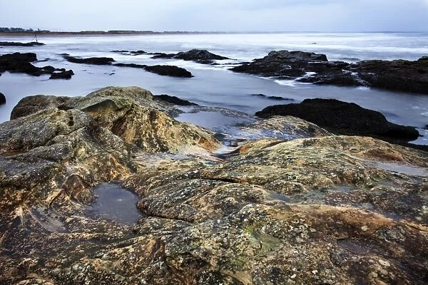 Rocky shoreline, St. Andrews, Fife, Scotland, United Kingdom, Europe