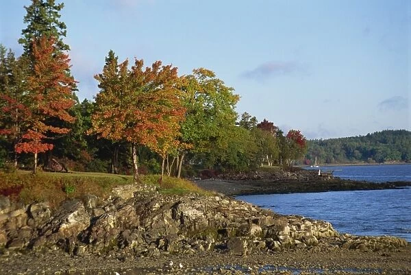 Rocky shoreline and trees in fall colours at the scenic harbour