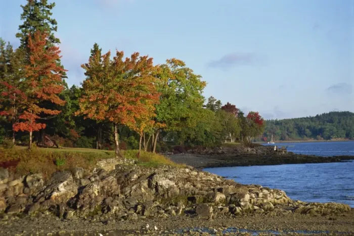 Framed Print : Rocky shoreline and trees in fall colours at the scenic harbour Framed Print : Rocky shoreline and trees in fall colours at the scenic harbour