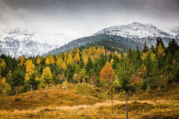 Rodnei Mountains in early winter, Carpathians, Romania, Europe