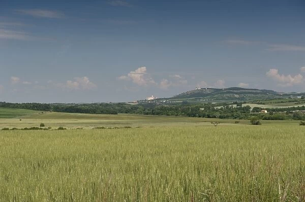 Rolling countryside with wheat fields and forests around town of Mikulov with its castle