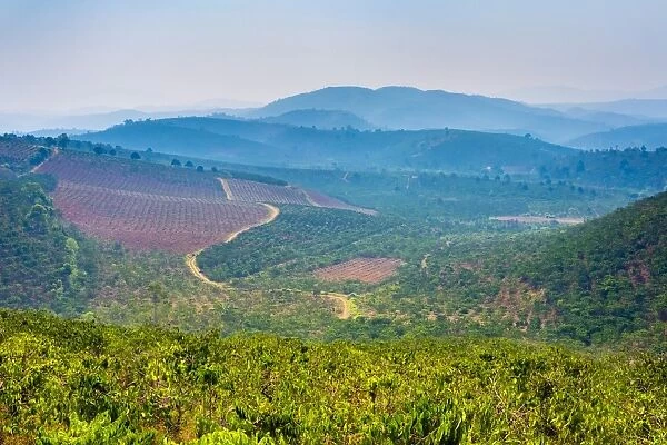 Rolling hills and coffee plantations in Central Highlands, Bao Loc, Lam Dong Province
