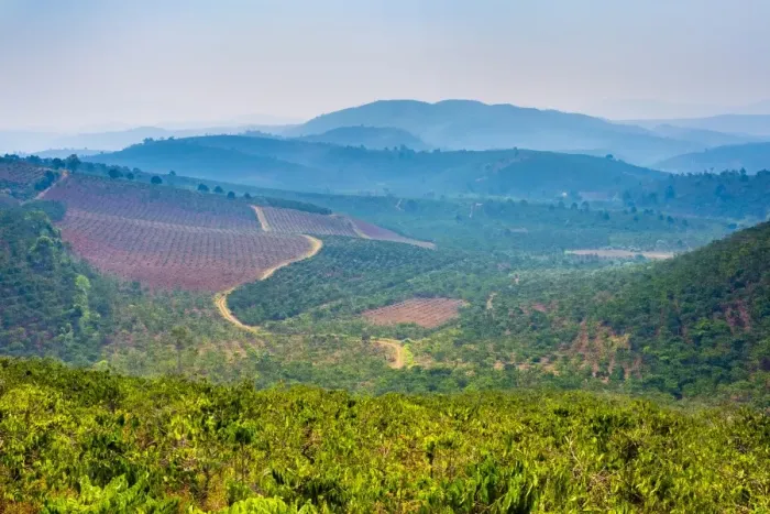 Framed Print : Rolling hills and coffee plantations in Central Highlands, Bao Loc, Lam Dong Province Framed Print : Rolling hills and coffee plantations in Central Highlands, Bao Loc, Lam Dong Province