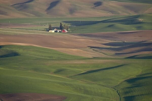 Rolling hills, The Palouse, Whitman County, Washington State, United States of America