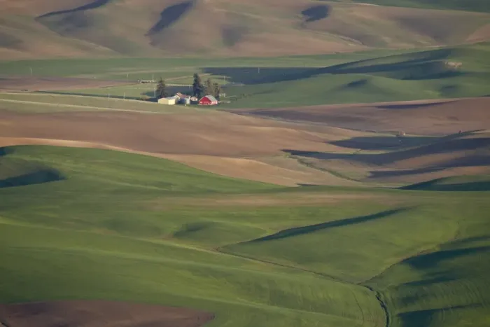 Framed Print : Rolling hills, The Palouse, Whitman County, Washington State, United States of America
