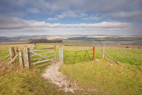 The rolling hills of the South Downs National Park near Brighton, Sussex, England, United Kingdom, Europe