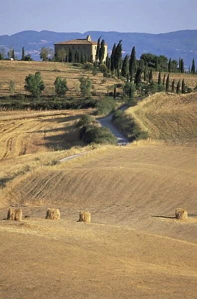 Rolling landscape in Siena province