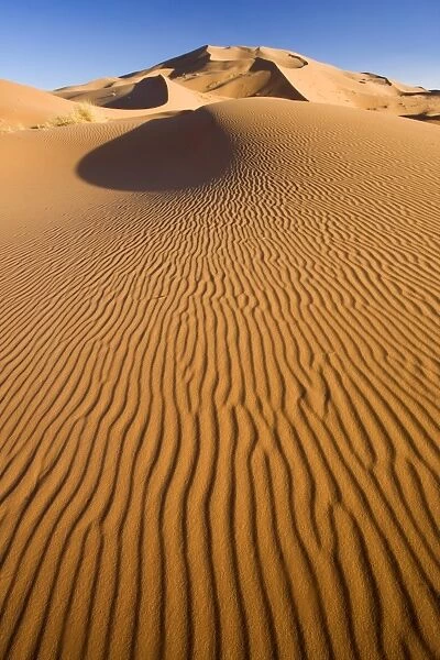 Rolling orange sand dunes and sand ripples in the Erg Chebbi sand sea near Merzouga
