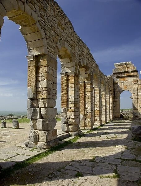 Roman archaeological site, Volubilis, UNESCO World Heritage Site, Meknes Region, Morocco, North Africa, Africa