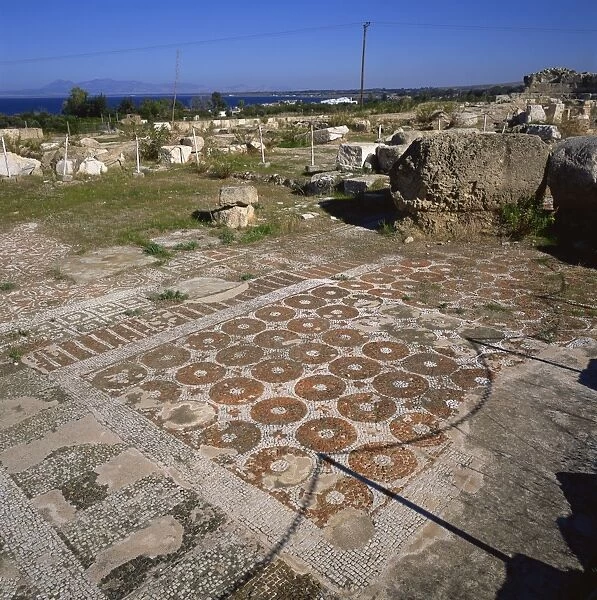 Roman basilica with fine mosaics dating from the 5th century AD, Soli, one of Cypruss ten ancient city kingdom, founded 6th century BC, Northern Cyprus