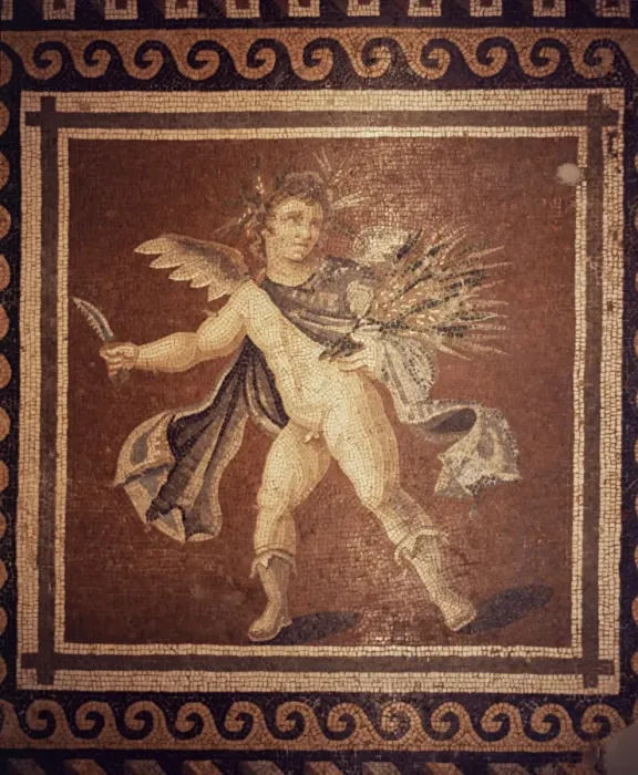 Framed Print : Roman mosaic Framed Print : Roman mosaic