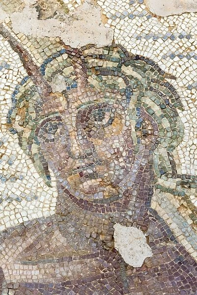 Roman mosaic, Carthage National Museum, Byrsa Hill, Carthage, UNESCO World Heritage Site, Tunis, Tunisia, North Africa, Africa