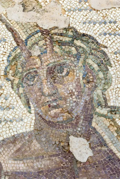 Framed Print : Roman mosaic, Carthage National Museum, Byrsa Hill, Carthage, UNESCO World Heritage Site, Tunis, Tunisia, North Africa, Africa Framed Print : Roman mosaic, Carthage National Museum, Byrsa Hill, Carthage, UNESCO World Heritage Site, Tunis, Tunisia, North Africa, Africa