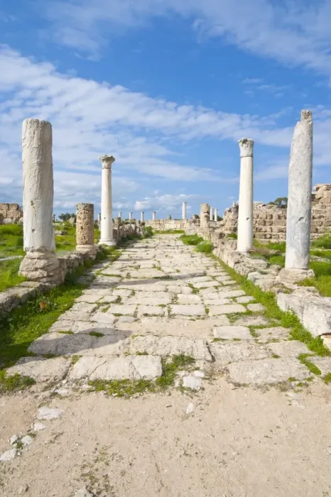 Framed Print : Roman ruins of Salamis, Turkish part of Cyprus, Cyprus, Europe Framed Print : Roman ruins of Salamis, Turkish part of Cyprus, Cyprus, Europe