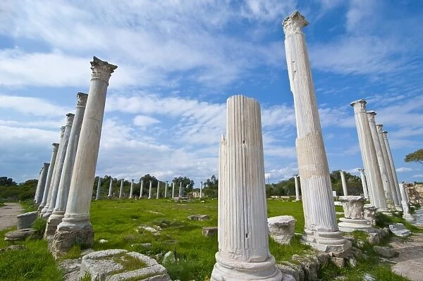 The Roman ruins of Salamis, Turkish part of Cyprus, Europe