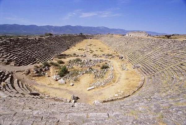 The Roman Stadium