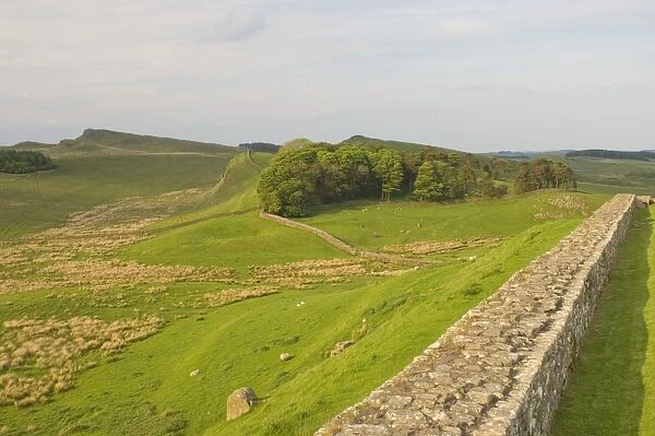 Roman Wall to east at Housesteads Fort to Sewing Shields Crags, Hadrians Wall