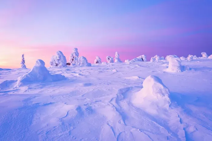 Framed Print : Romantic sky at dawn over frozen trees covered with snow, Riisitunturi National Park, Lapland, Finland, Europe Framed Print : Romantic sky at dawn over frozen trees covered with snow, Riisitunturi National Park, Lapland, Finland, Europe