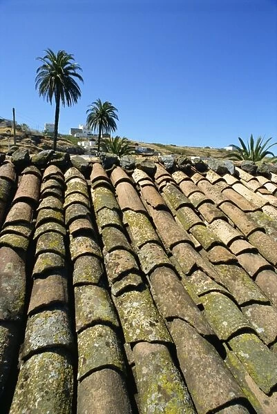 Roof tiles, southeast area near Las Hayas, La Gomera, Canary Islands, Spain