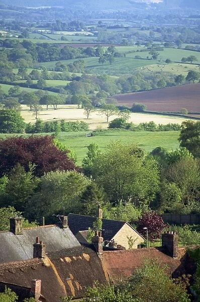 Roofs of houses in Shaftesbury and typical patchwork fields beyond, Dorset