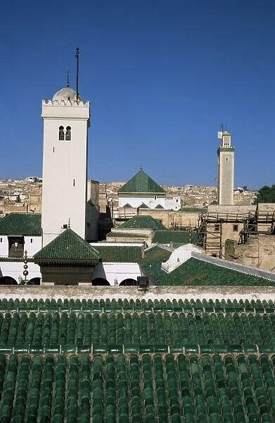 Rooftop of the Kairaouine Mosque