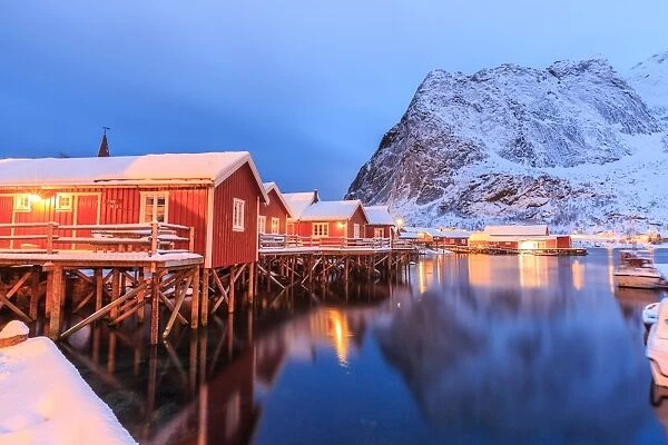 The Rorbu, the Norwegian red houses built on stilts in the bay of Reine in the Lofoten Islands, Arctic, Norway, Scandinavia, Europe