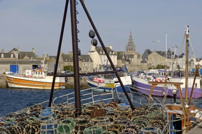 Framed Print : Roscoff Harbour, North Finistere, Brittany, France, Europe Framed Print : Roscoff Harbour, North Finistere, Brittany, France, Europe