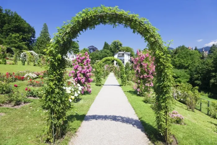 Framed Print : Rose arches, Rose Garden Beutig, Baden-Baden, Black Forest, Baden Wurttemberg, Germany, Europe Framed Print : Rose arches, Rose Garden Beutig, Baden-Baden, Black Forest, Baden Wurttemberg, Germany, Europe