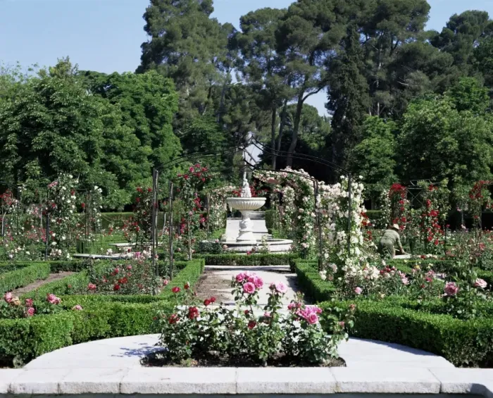 Framed Print : Rose Garden Framed Print : Rose Garden
