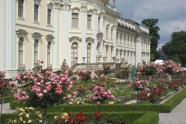 The Rose Garden, 18th century Baroque Residenzschloss, inspired by Versailles Palace, Ludwigsburg, Baden Wurttemberg, Germany, Europe