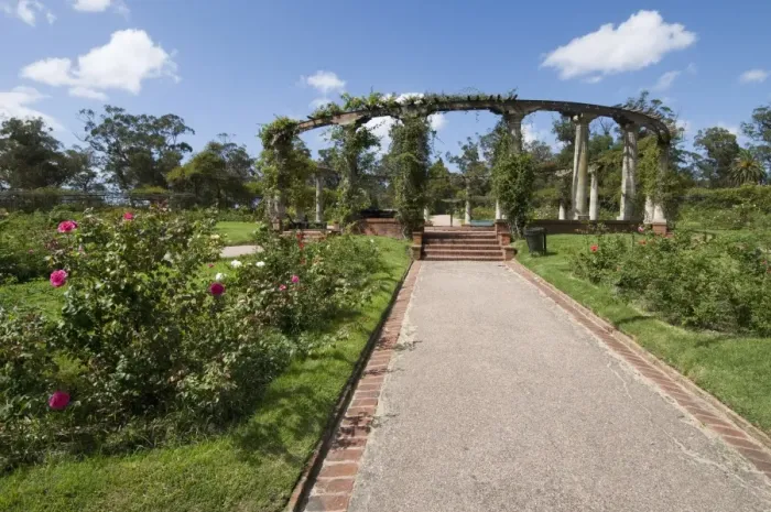 Framed Print : Rose Garden, Montevideo, Uruguay, South America