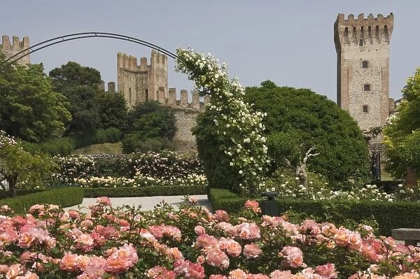 The Rose Park and City Walls, Este, Veneto, Italy, Europe