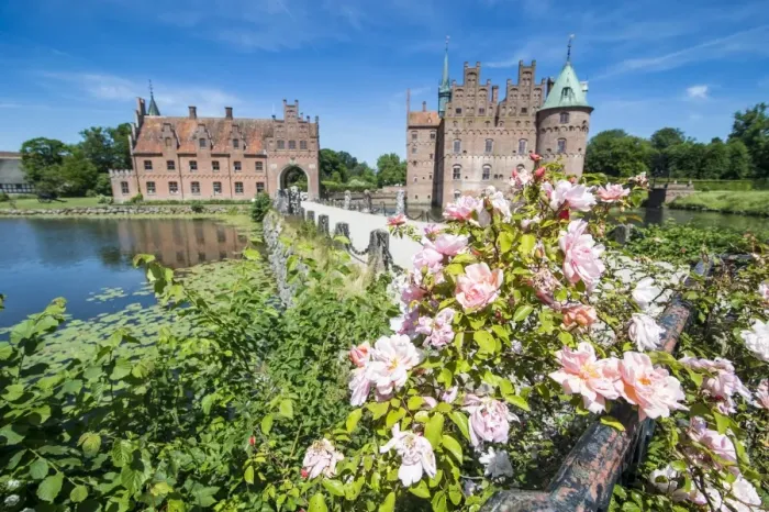 Framed Print : Roses blooming in front of Castle Egeskov, Denmark, Scandinavia, Europe Framed Print : Roses blooming in front of Castle Egeskov, Denmark, Scandinavia, Europe