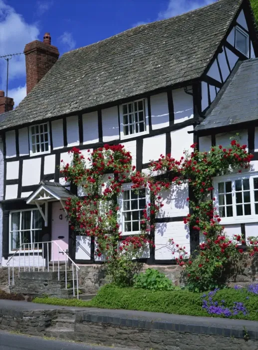 Framed Print : Roses round the door of timber framed cottage, Pembridge, Herefordshire Framed Print : Roses round the door of timber framed cottage, Pembridge, Herefordshire