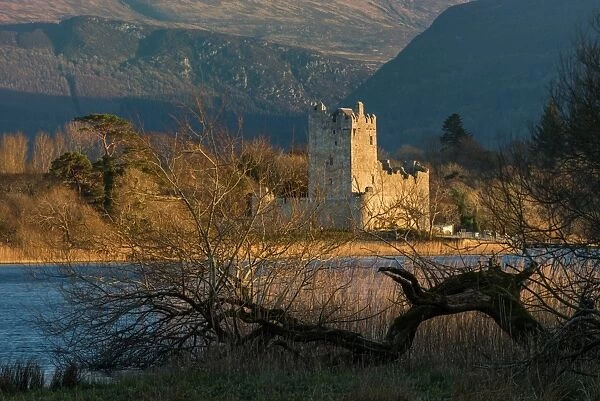 Ross Castle, Killarney National Park, County Kerry, Munster, Republic of Ireland, Europe