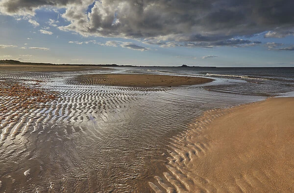 Ross Back Sands, near Lindisfarne, on the North Sea coast of Northumberland