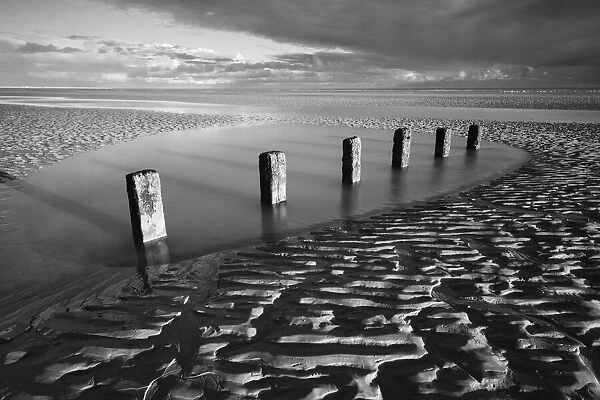 Rotting wooden posts of old sea defences on Winchelsea beach at low tide, Winchelsea