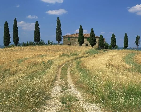 Rough track leads to an old house behind cypress trees in Tuscany, Italy, Europe