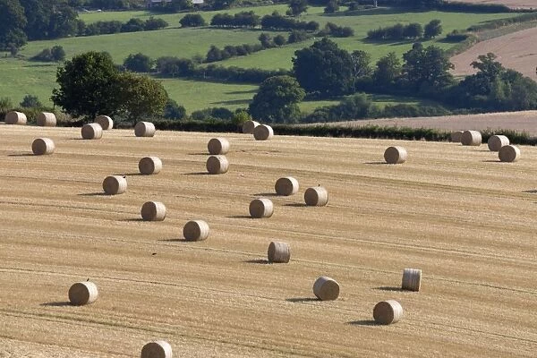 Round hay bales and Cotswold farmland at Wadfield farm, Winchcombe, Cotswolds, Gloucestershire