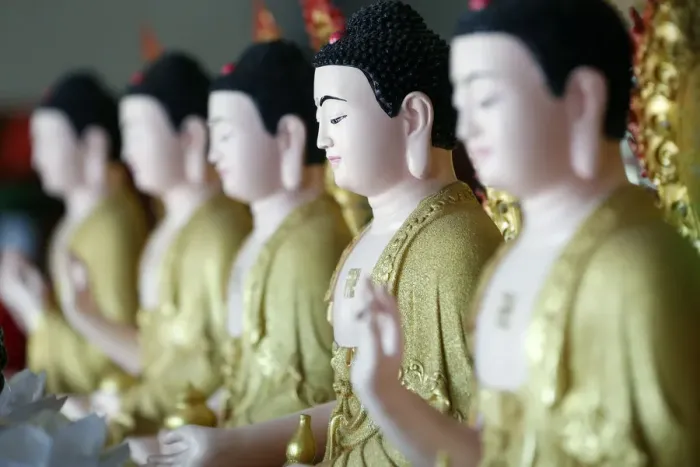 Framed Print : Row of Buddha statues, Hoi Tuong Te Nguoi Hoa Buddhist Chinese temple, Phu Quoc, Vietnam Framed Print : Row of Buddha statues, Hoi Tuong Te Nguoi Hoa Buddhist Chinese temple, Phu Quoc, Vietnam