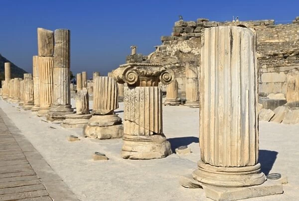 A row of columns, ancient Ephesus, near Kusadasi, Anatolia, Turkey, Asia Minor, Eurasia